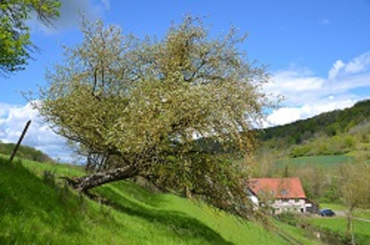 Gasthaus Holdermuehle Creglingen Exterior foto